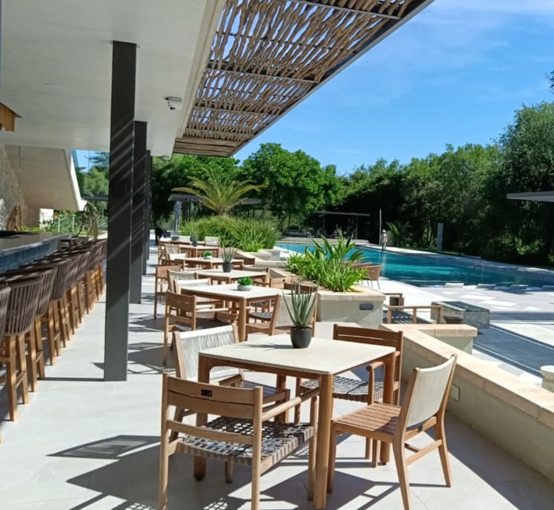 Mokuti Etosha — A full lodge fit-out on the edge of Etosha — reception, restaurant, bar, lounges and retail joinery, manufactured in Gauteng and installed on site.