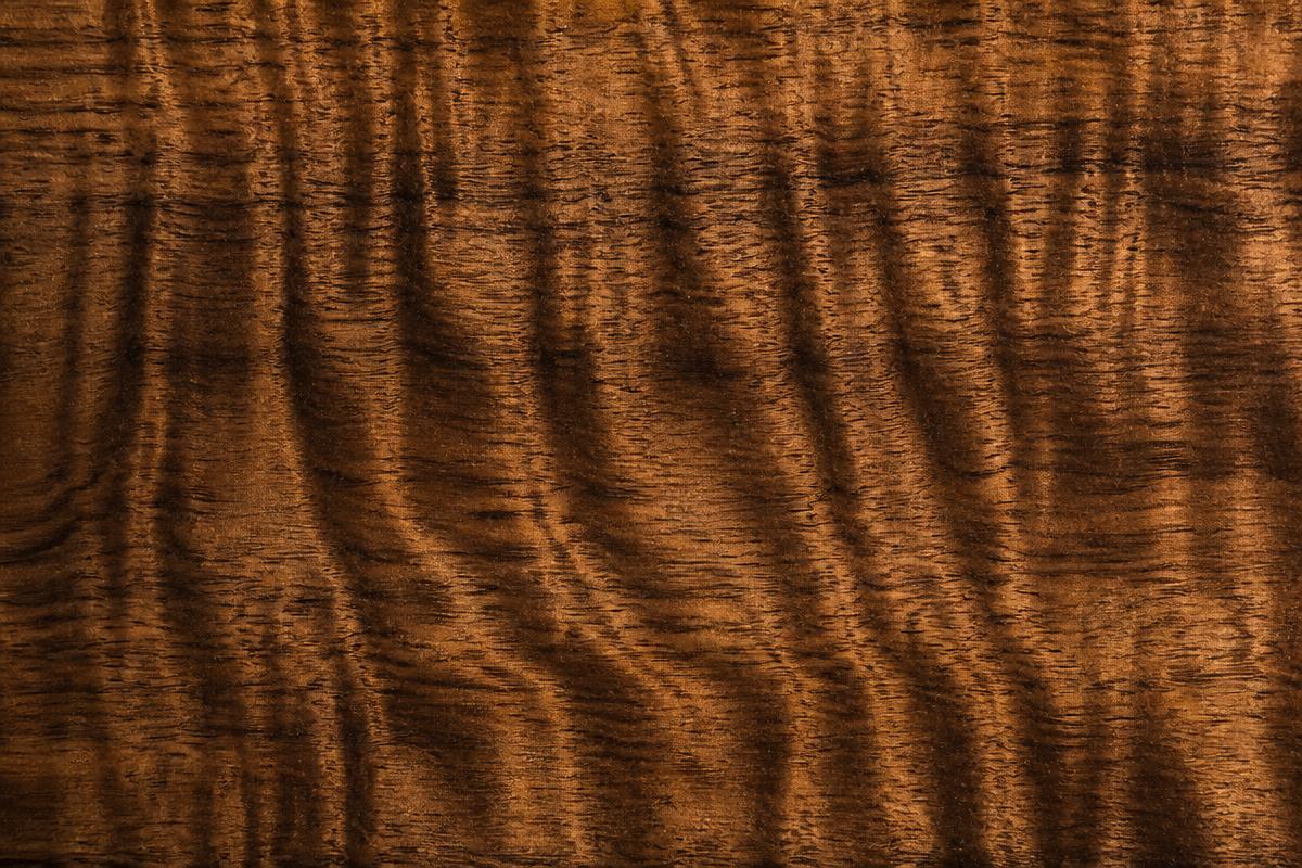 Grain and colour of Blackwood (Acacia melanoxylon) hardwood