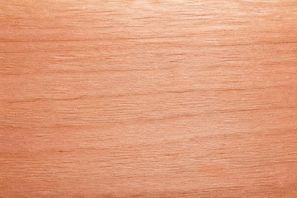 Grain and colour of Saligna Gum (Eucalyptus grandis) hardwood